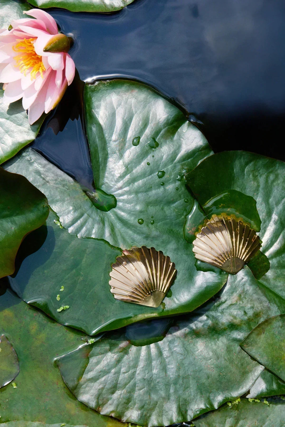 Bordelle Siren gold shell nipplets on  water lily 