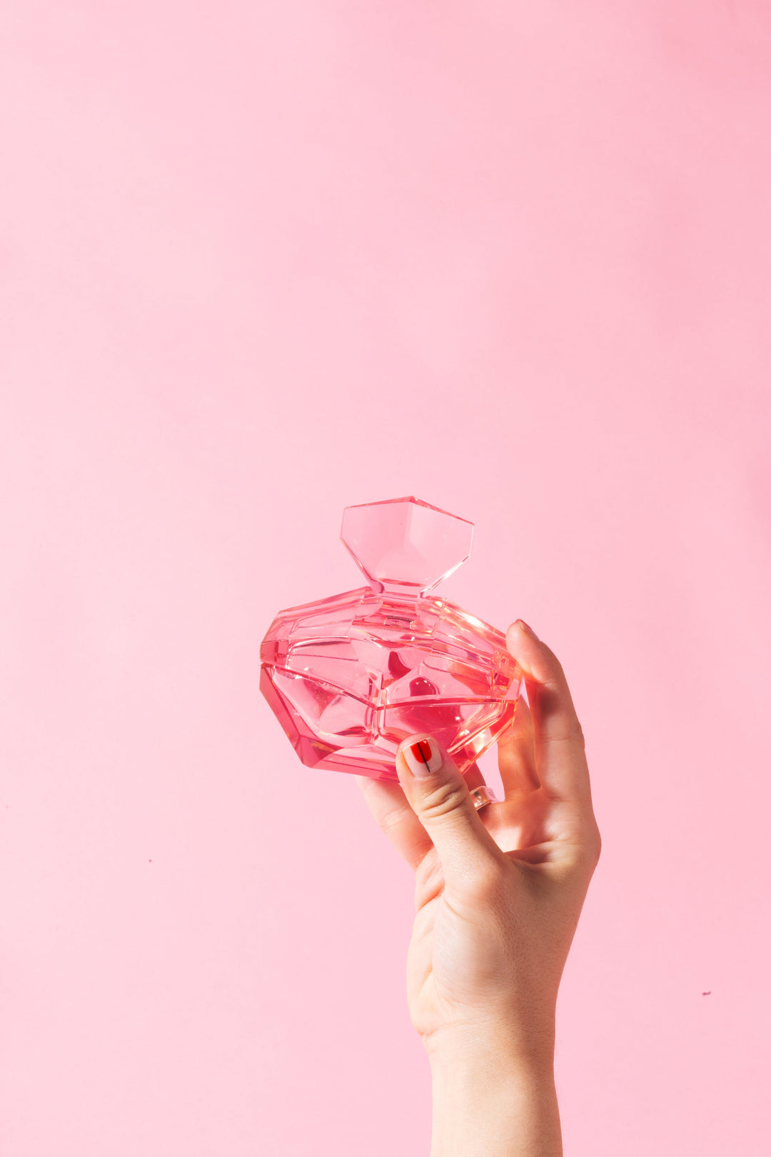 Niche Parfum | Curated for the Night