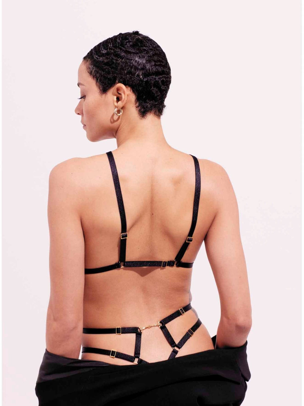 Paloma Casile Johnny harness