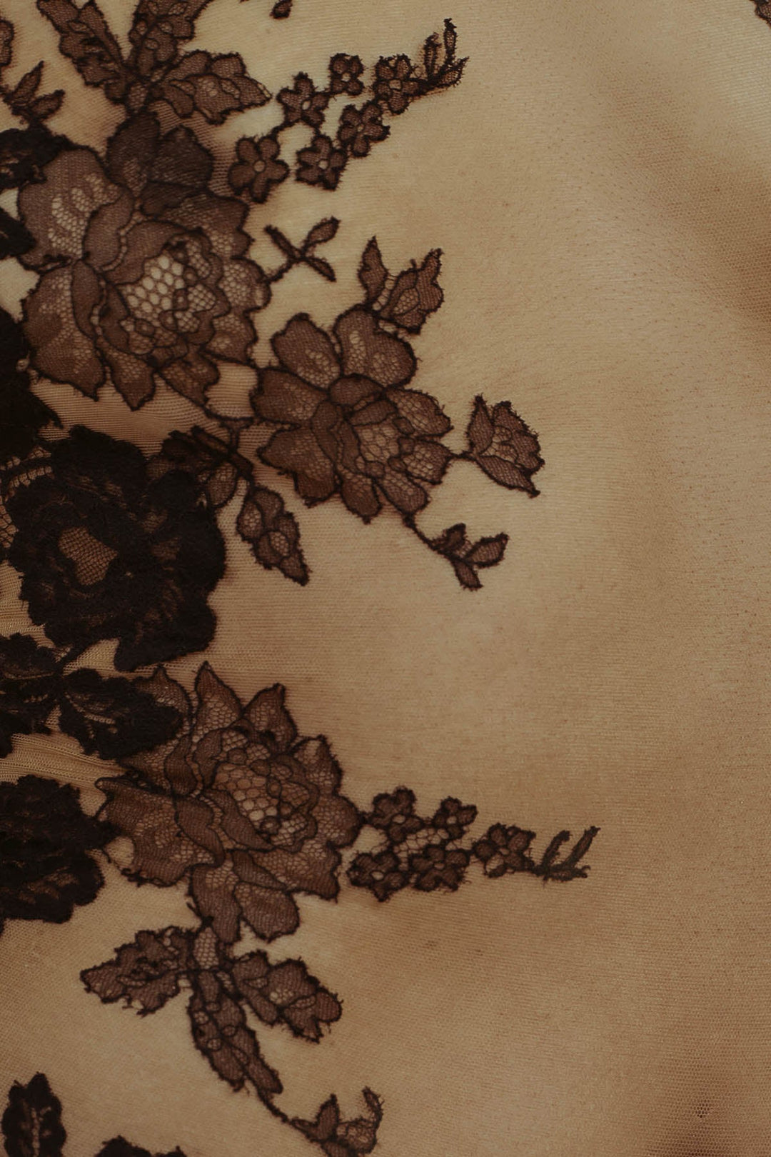 Hervé by Céline Marie Ilucia Halter Body